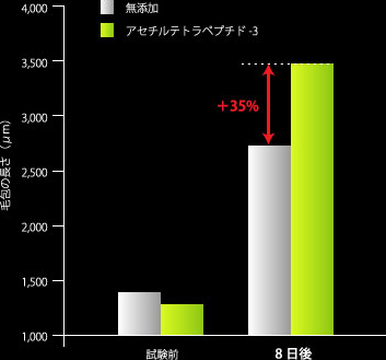 毛包の長さ(μm) 無添加 アセチルテトラペプチド-3 ＋35% 試験前 8日後 1,000 1,500 2,000 2,500 3,000 3,500 4,000