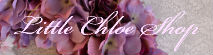 LittleChloe shop